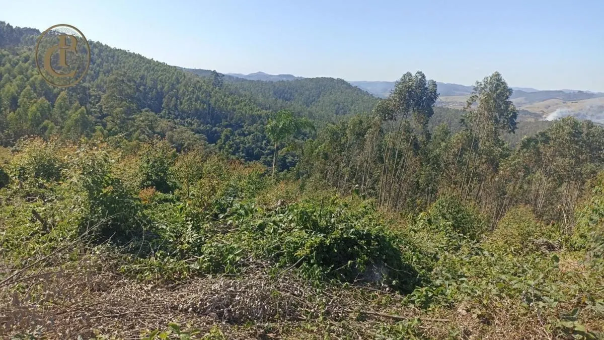 Fazenda à venda de 300 ha em Salesópolis, SP, Brasil