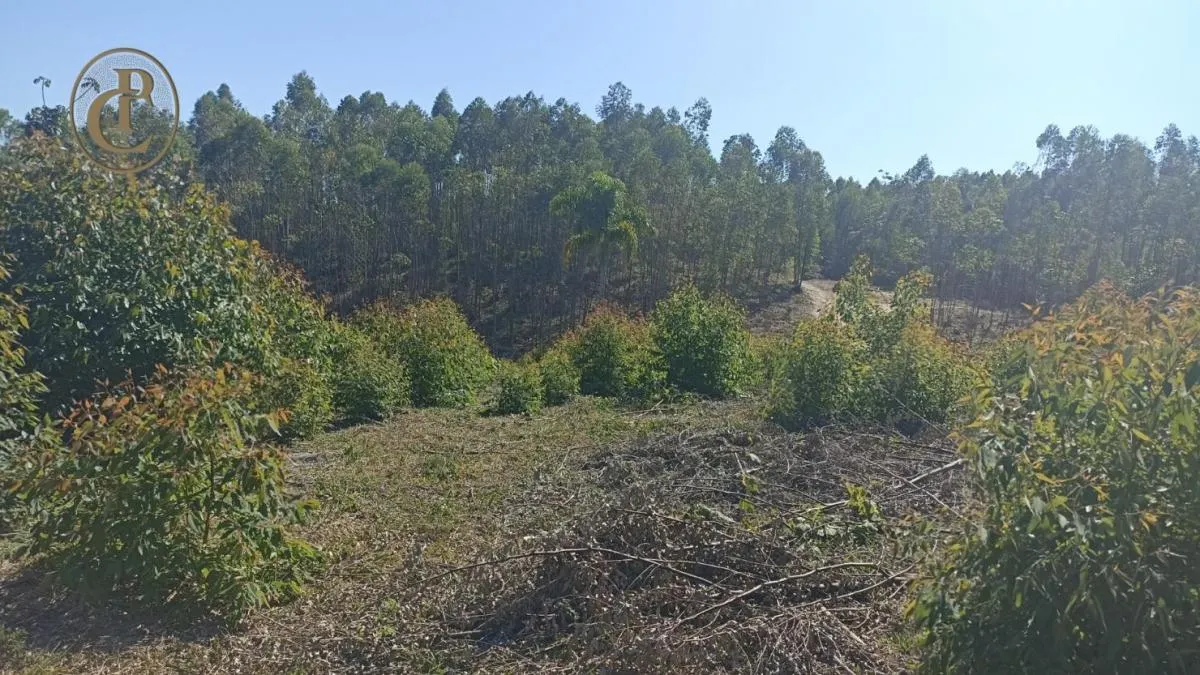 Fazenda à venda de 300 ha em Salesópolis, SP, Brasil