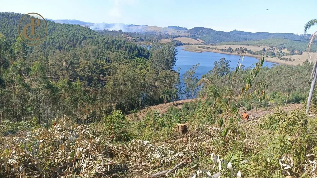 Fazenda à venda de 300 ha em Salesópolis, SP, Brasil