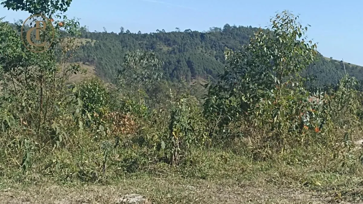 Fazenda à venda de 300 ha em Salesópolis, SP, Brasil