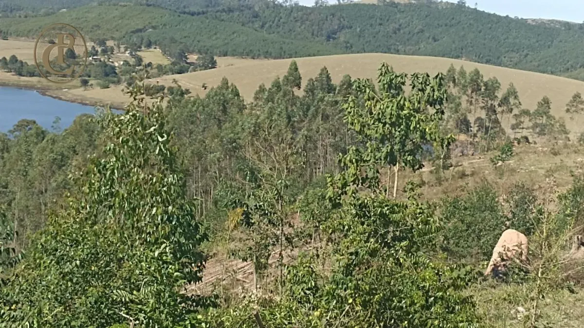Fazenda à venda de 300 ha em Salesópolis, SP, Brasil