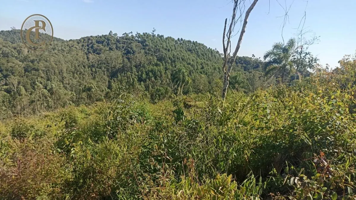 Fazenda à venda de 300 ha em Salesópolis, SP, Brasil