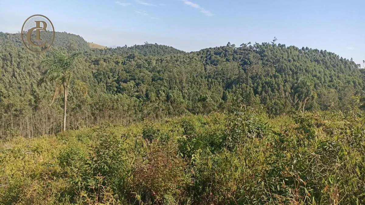 Fazenda à venda de 300 ha em Salesópolis, SP, Brasil