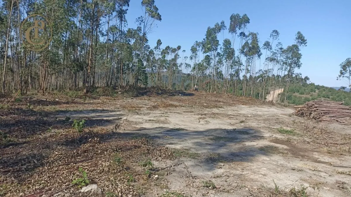 Fazenda à venda de 300 ha em Salesópolis, SP, Brasil
