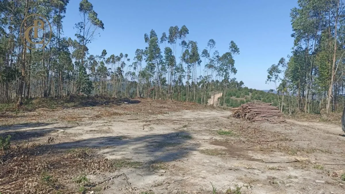 Fazenda à venda de 300 ha em Salesópolis, SP, Brasil