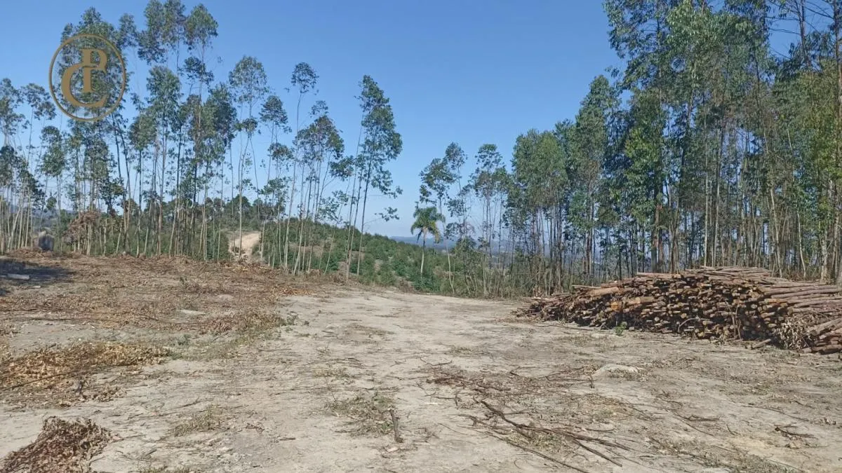 Fazenda à venda de 300 ha em Salesópolis, SP, Brasil