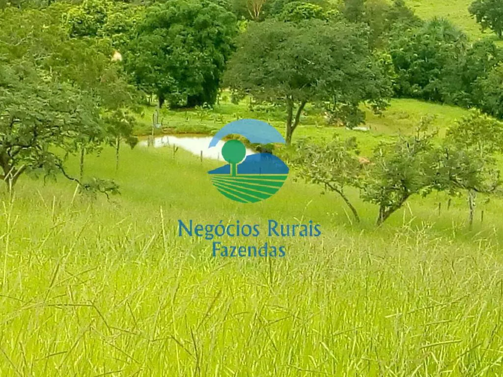 Sítio à venda de 72 ha em Pirenópolis, GO, Brasil