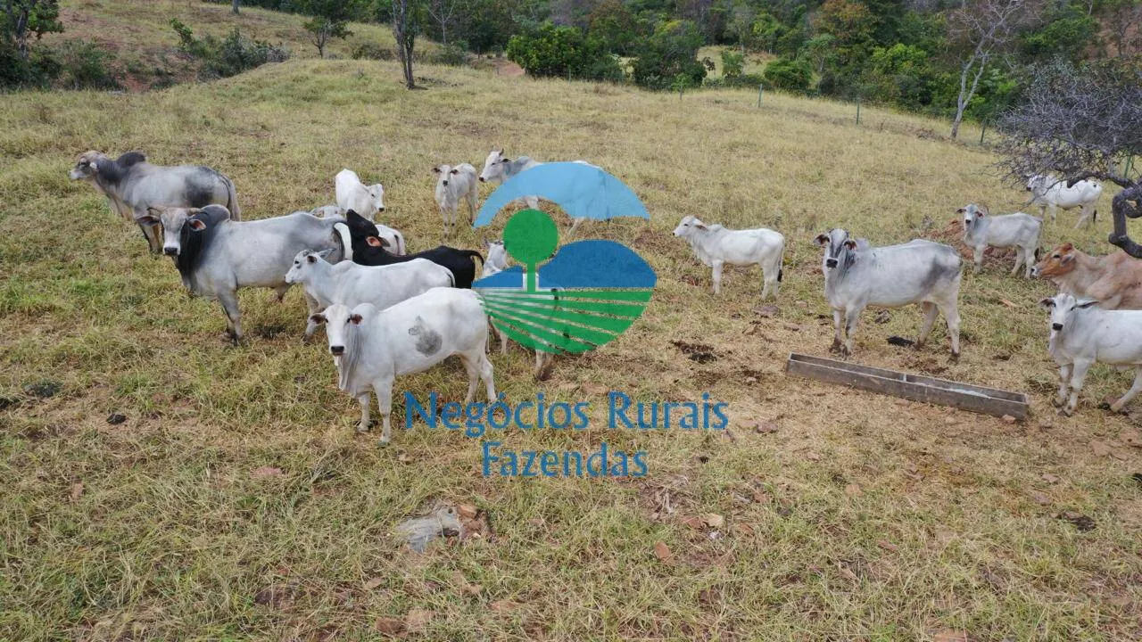 Sítio à venda de 72 ha em Pirenópolis, GO, Brasil