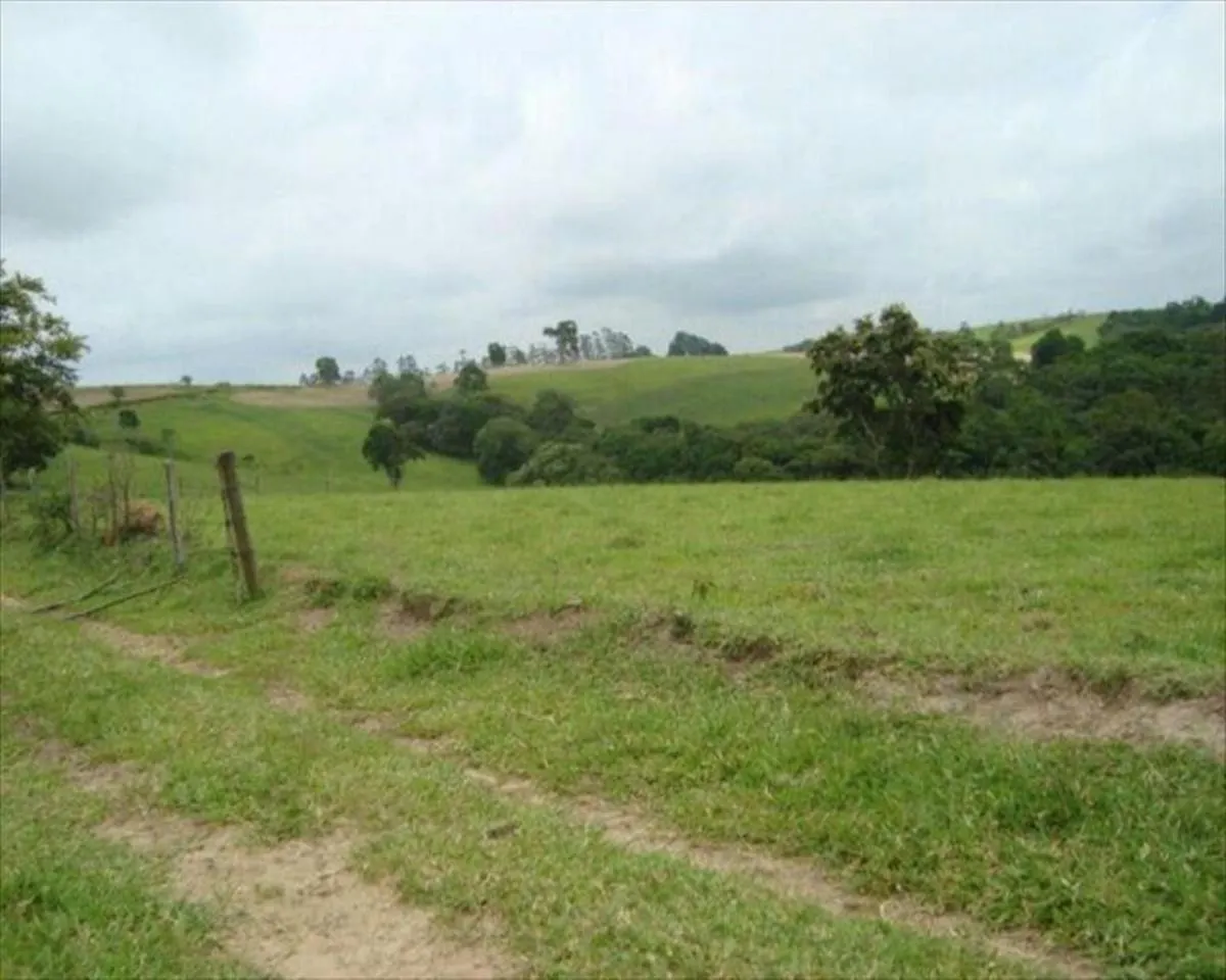 Fazenda à venda de 530 ha em Taquarituba, SP, Brasil