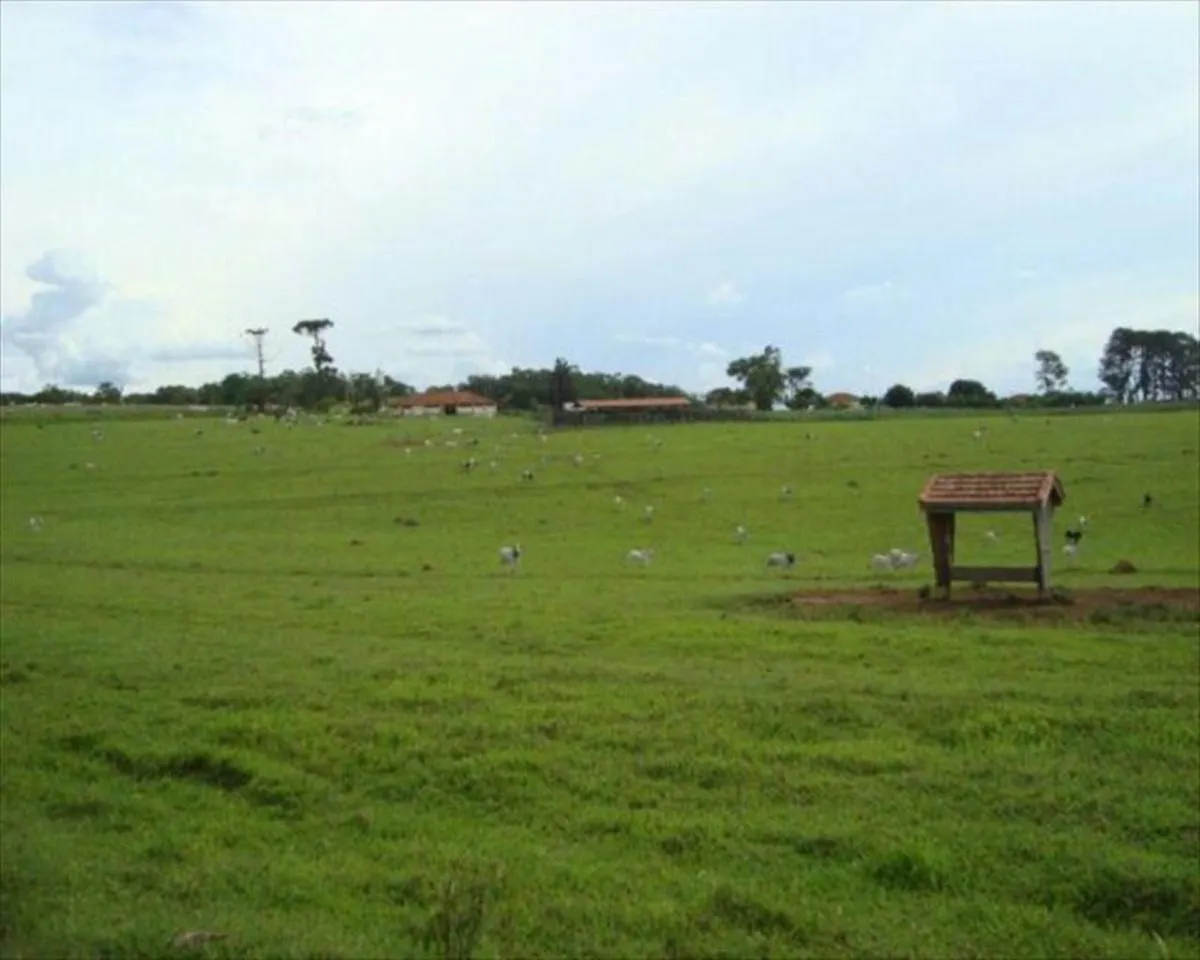Fazenda à venda de 530 ha em Taquarituba, SP, Brasil
