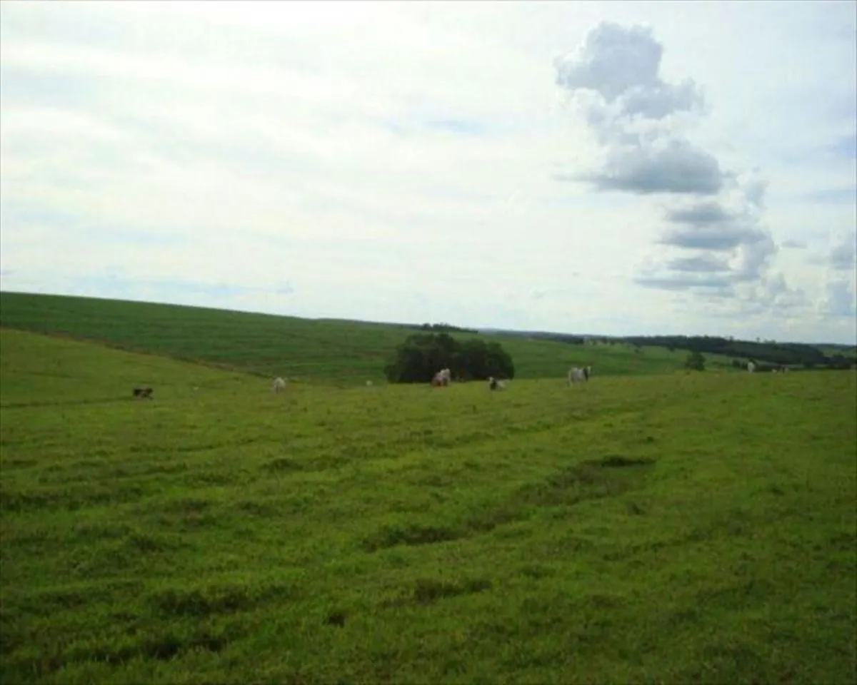 Fazenda à venda de 530 ha em Taquarituba, SP, Brasil