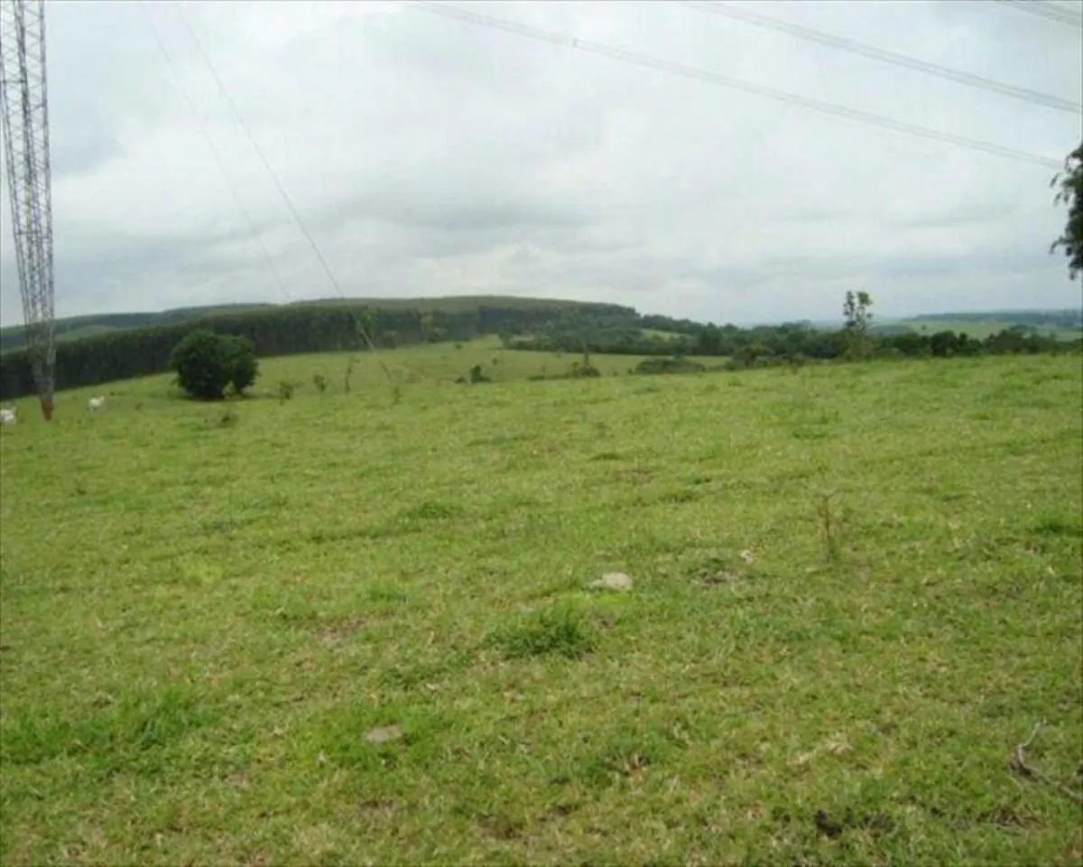 Fazenda à venda de 530 ha em Taquarituba, SP, Brasil