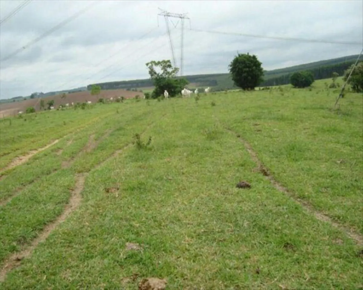 Fazenda à venda de 530 ha em Taquarituba, SP, Brasil