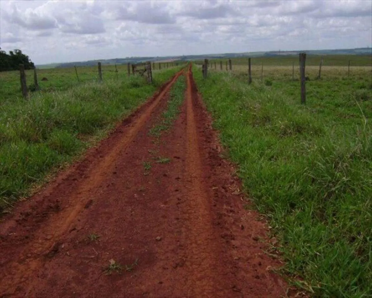 Fazenda à venda de 530 ha em Taquarituba, SP, Brasil
