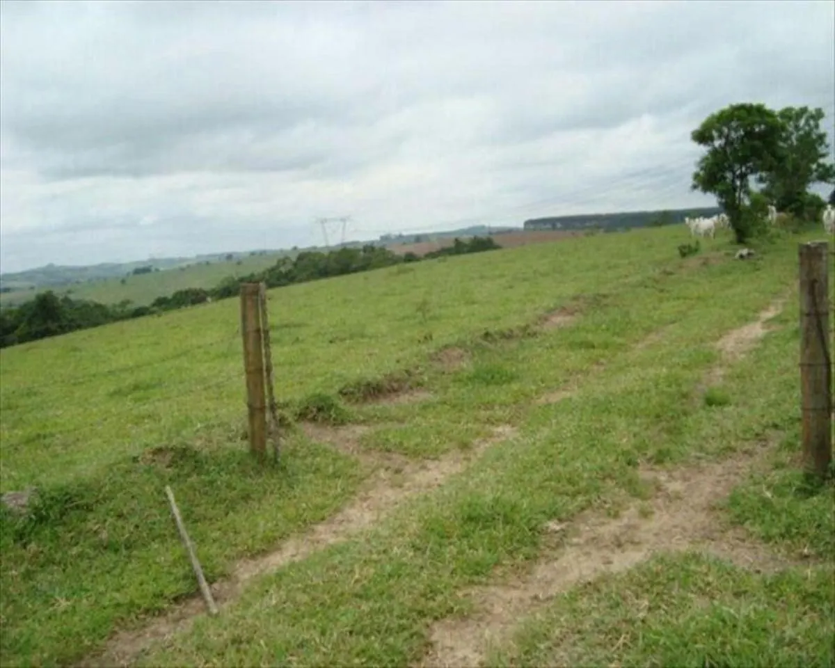 Fazenda à venda de 530 ha em Taquarituba, SP, Brasil