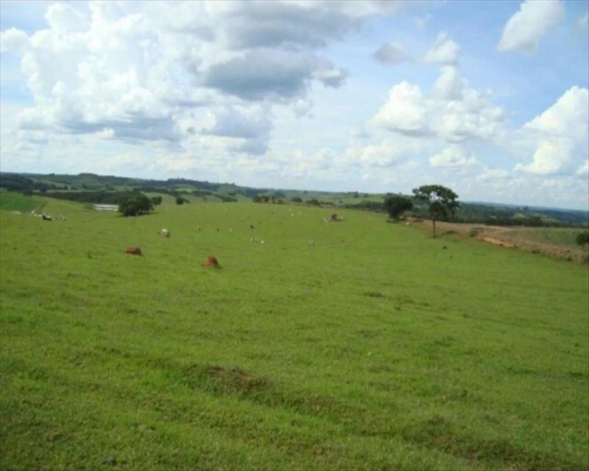 Fazenda à venda de 530 ha em Taquarituba, SP, Brasil