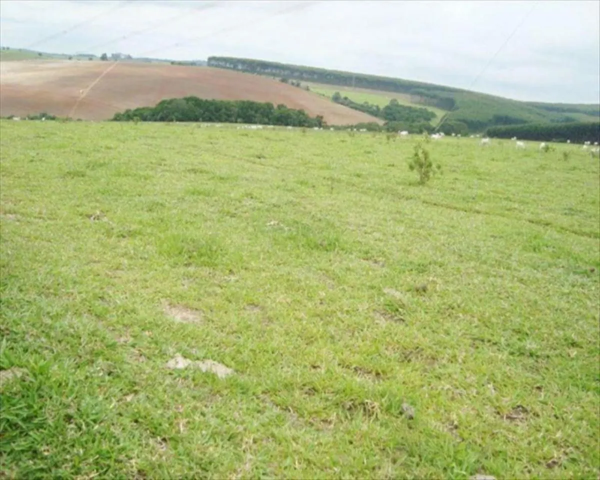 Fazenda à venda de 530 ha em Taquarituba, SP, Brasil