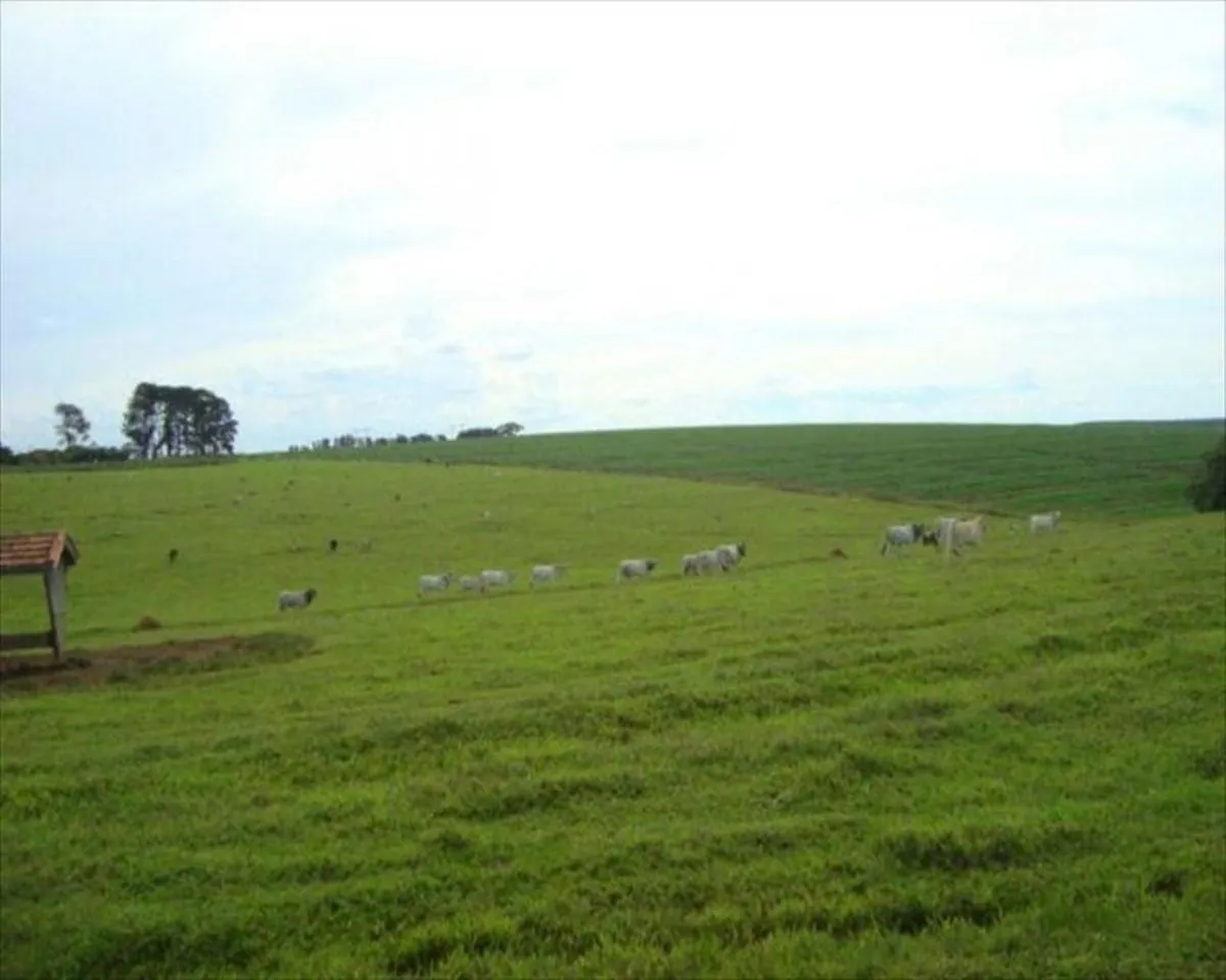 Fazenda à venda de 530 ha em Taquarituba, SP, Brasil