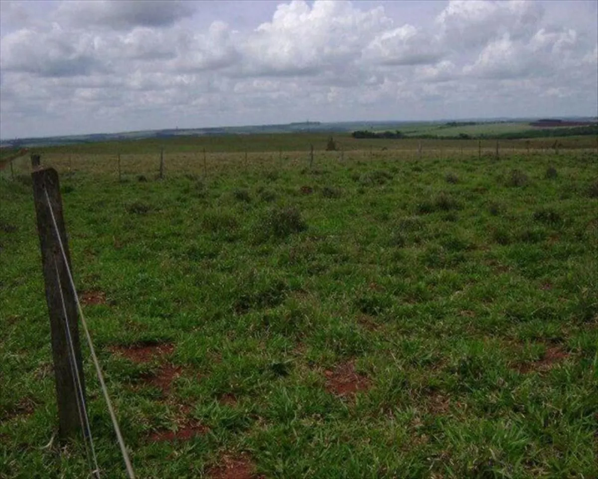 Fazenda à venda de 530 ha em Taquarituba, SP, Brasil