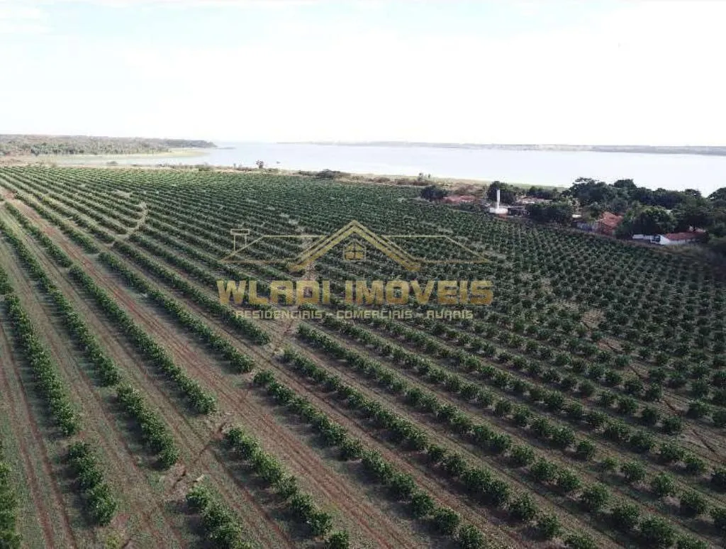 Fazenda à venda de 158 ha em Votuporanga, SP, Brasil