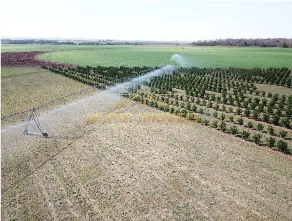 Fazenda à venda de 158 ha em Votuporanga, SP, Brasil