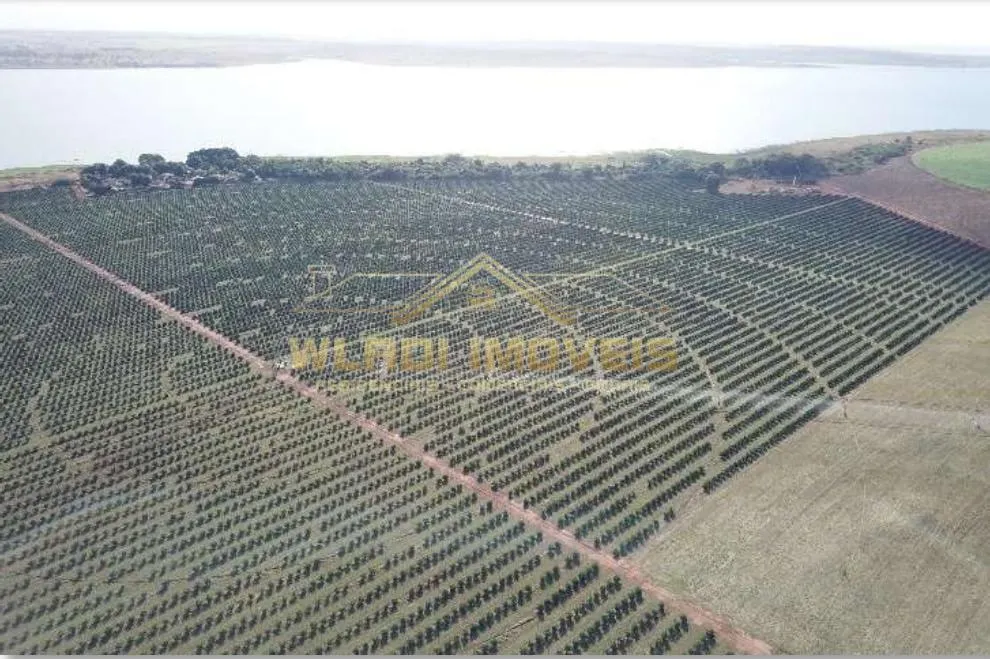 Fazenda à venda de 158 ha em Votuporanga, SP, Brasil