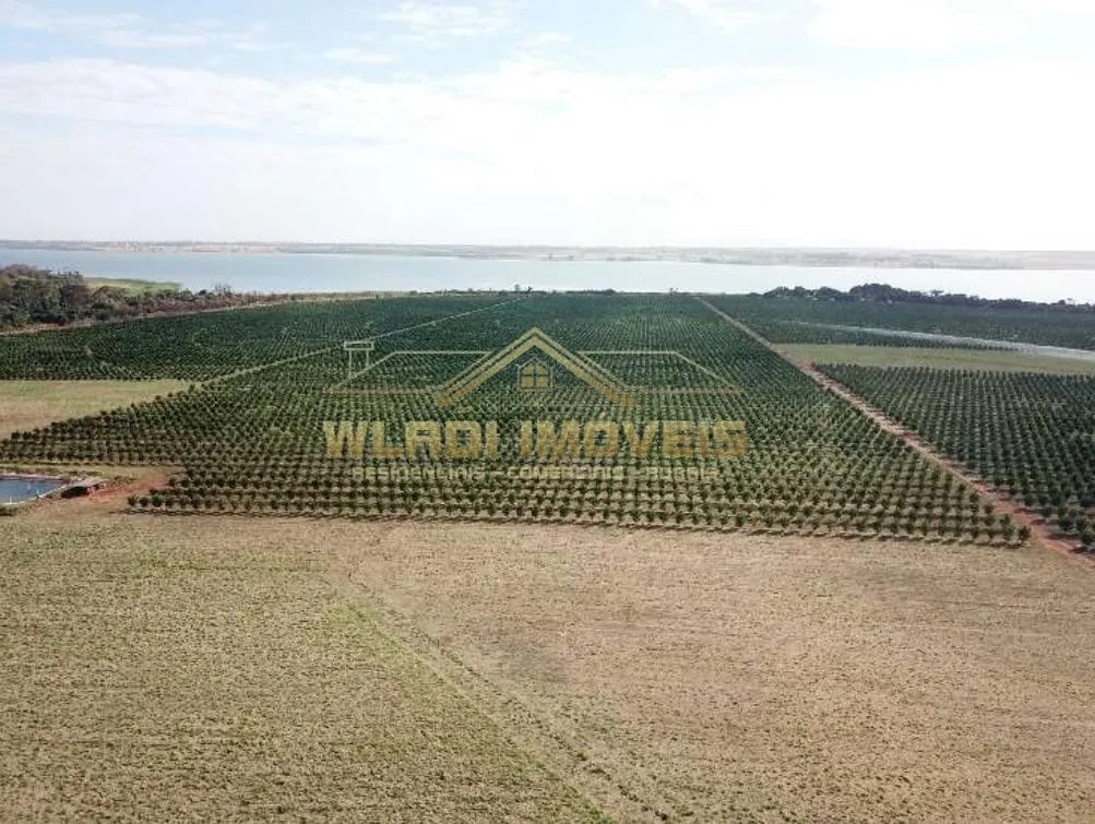Fazenda à venda de 158 ha em Votuporanga, SP, Brasil