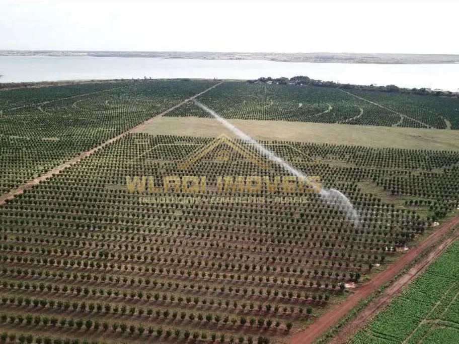 Fazenda à venda de 158 ha em Votuporanga, SP, Brasil