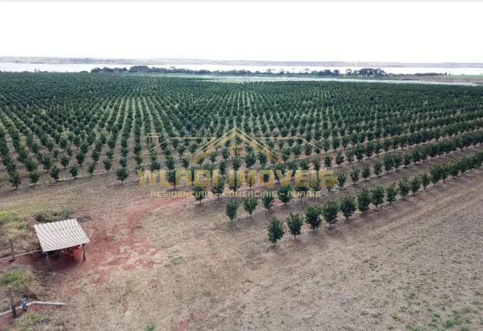 Fazenda à venda de 158 ha em Votuporanga, SP, Brasil