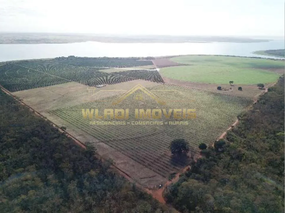 Fazenda à venda de 158 ha em Votuporanga, SP, Brasil