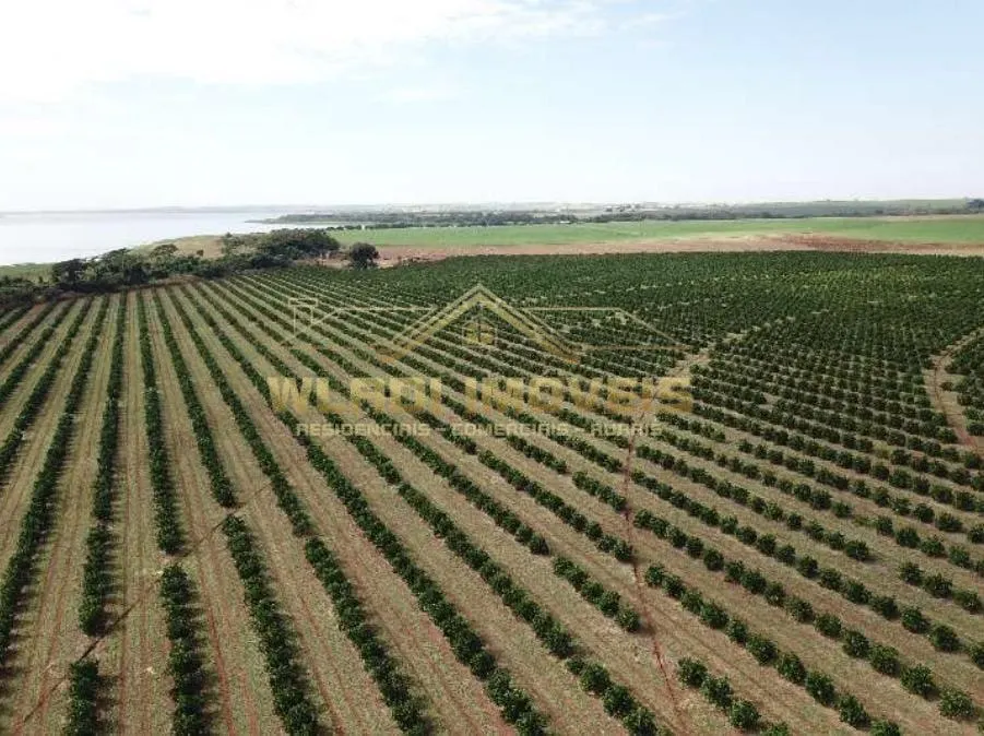 Fazenda à venda de 158 ha em Votuporanga, SP, Brasil