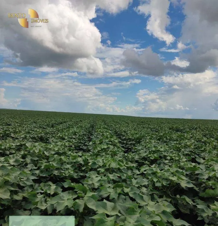 Fazenda à venda de 9.385 ha em Sapezal, MT, Brasil