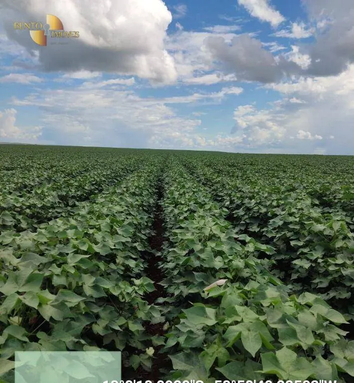Fazenda à venda de 9.385 ha em Sapezal, MT, Brasil
