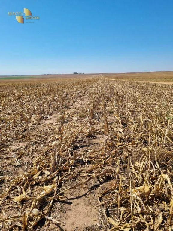 Fazenda à venda de 9.385 ha em Sapezal, MT, Brasil
