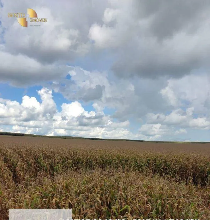 Fazenda à venda de 9.385 ha em Sapezal, MT, Brasil