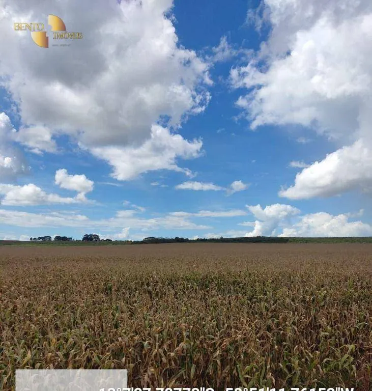 Fazenda à venda de 9.385 ha em Sapezal, MT, Brasil