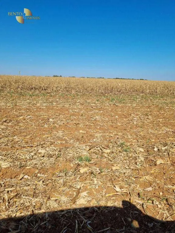 Fazenda à venda de 9.385 ha em Sapezal, MT, Brasil
