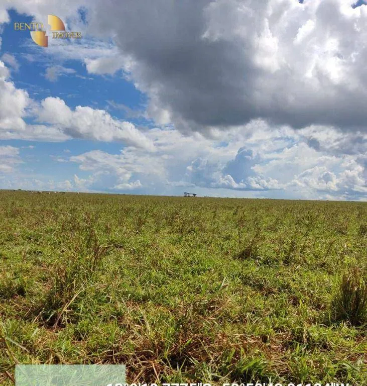 Fazenda à venda de 9.385 ha em Sapezal, MT, Brasil