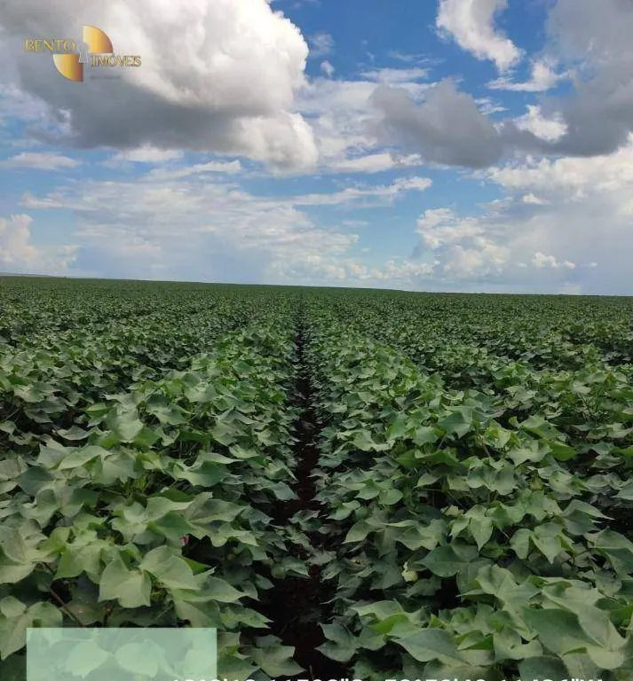 Fazenda à venda de 9.385 ha em Sapezal, MT, Brasil