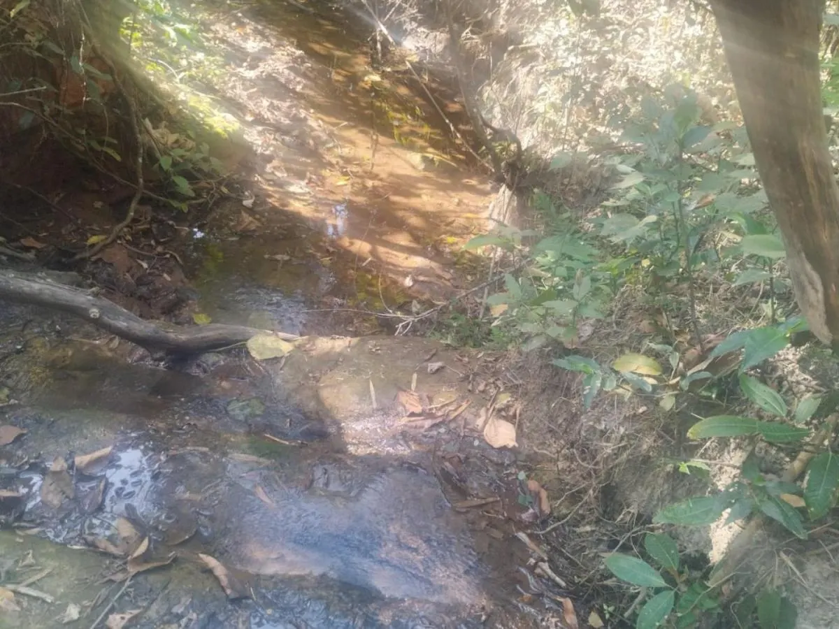 Small farm for sale of 9 acres in Cássia dos Coqueiros, SP, Brazil