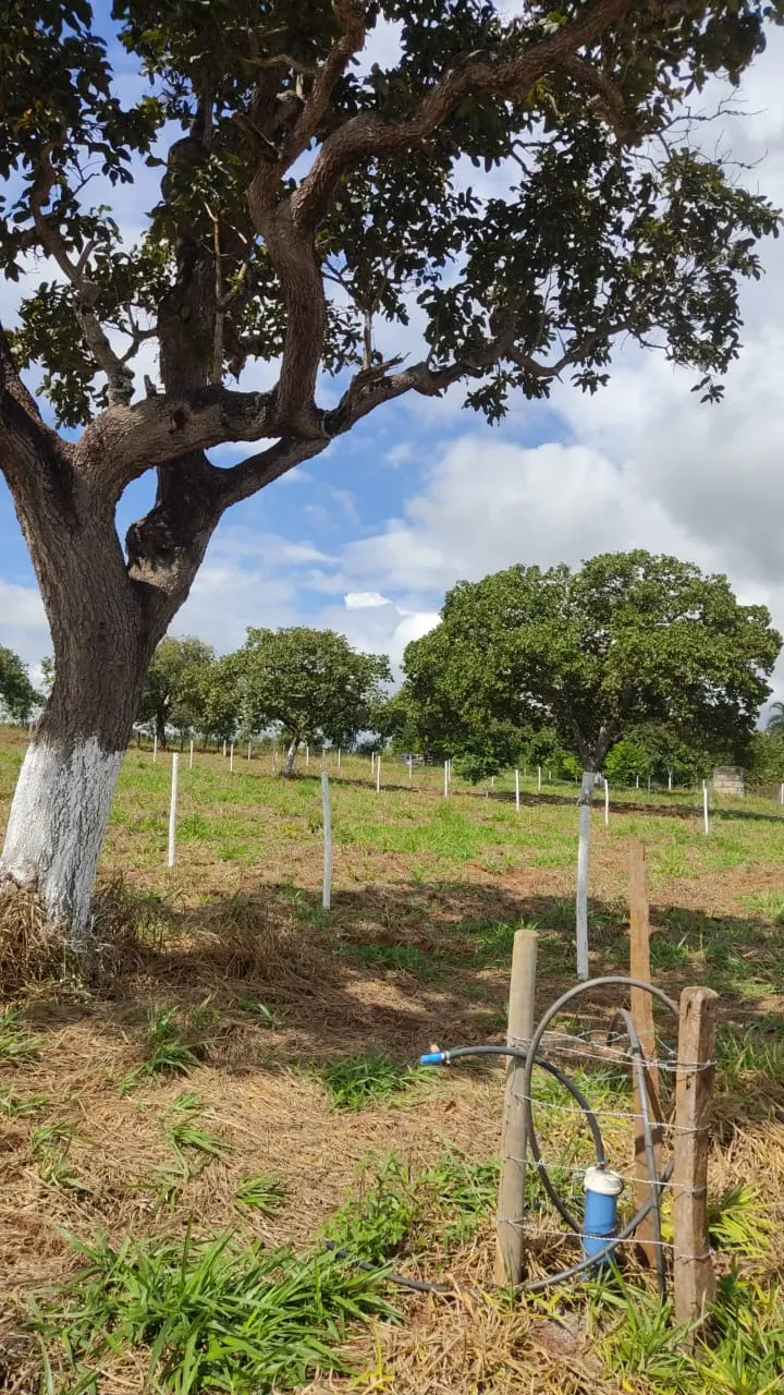 Country home for sale of 3,800 m² in Bonfinópolis, GO, Brazil
