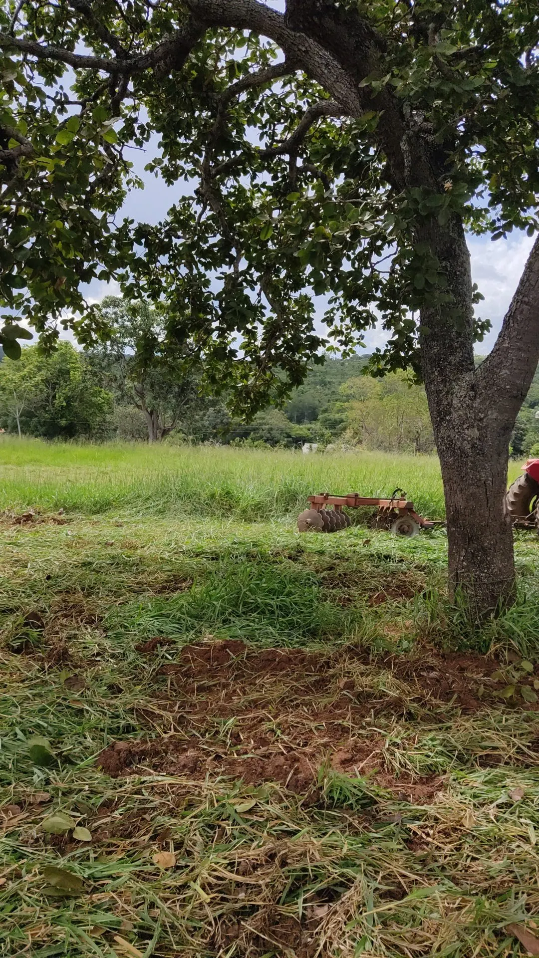 Country home for sale of 3,800 m² in Bonfinópolis, GO, Brazil