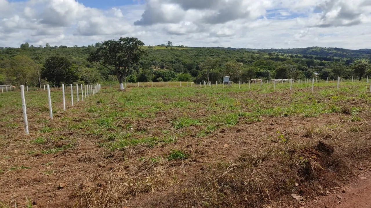Country home for sale of 3,800 m² in Bonfinópolis, GO, Brazil