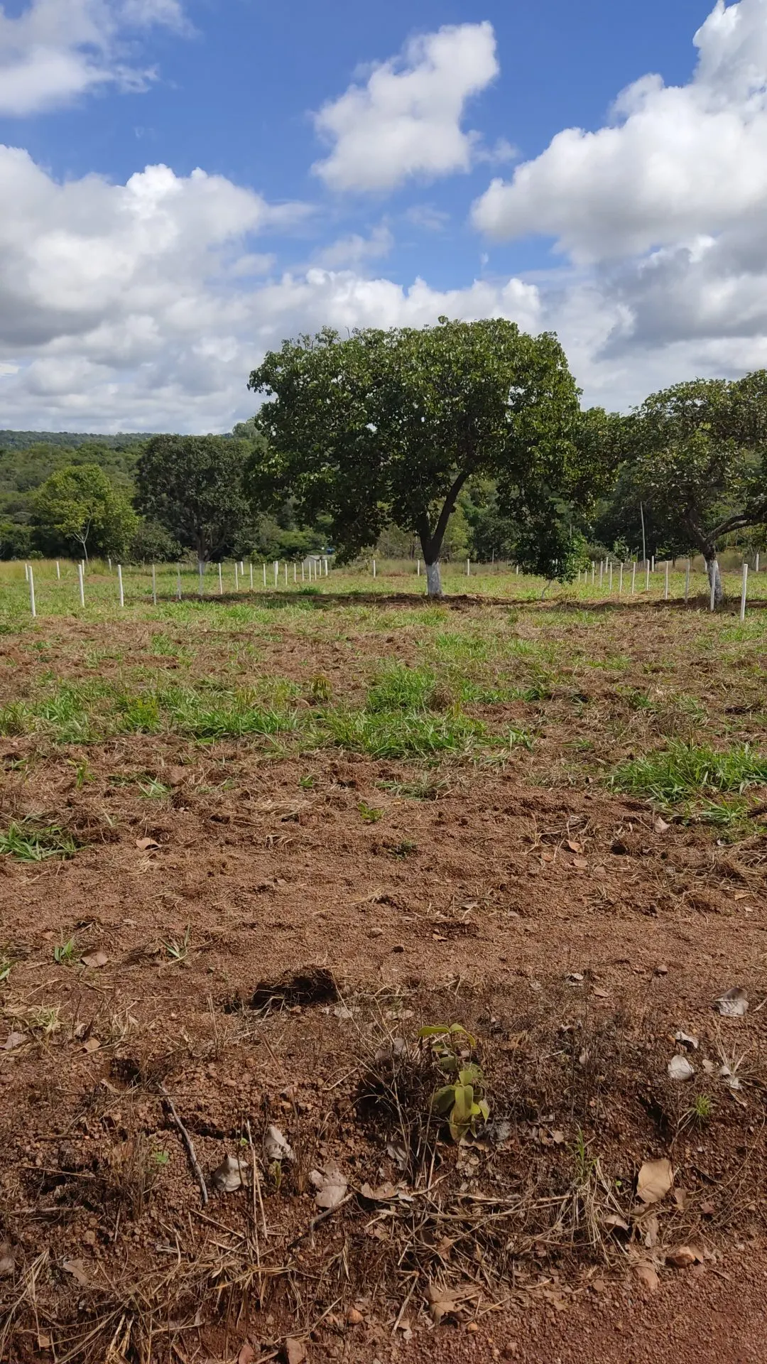 Country home for sale of 3,800 m² in Bonfinópolis, GO, Brazil