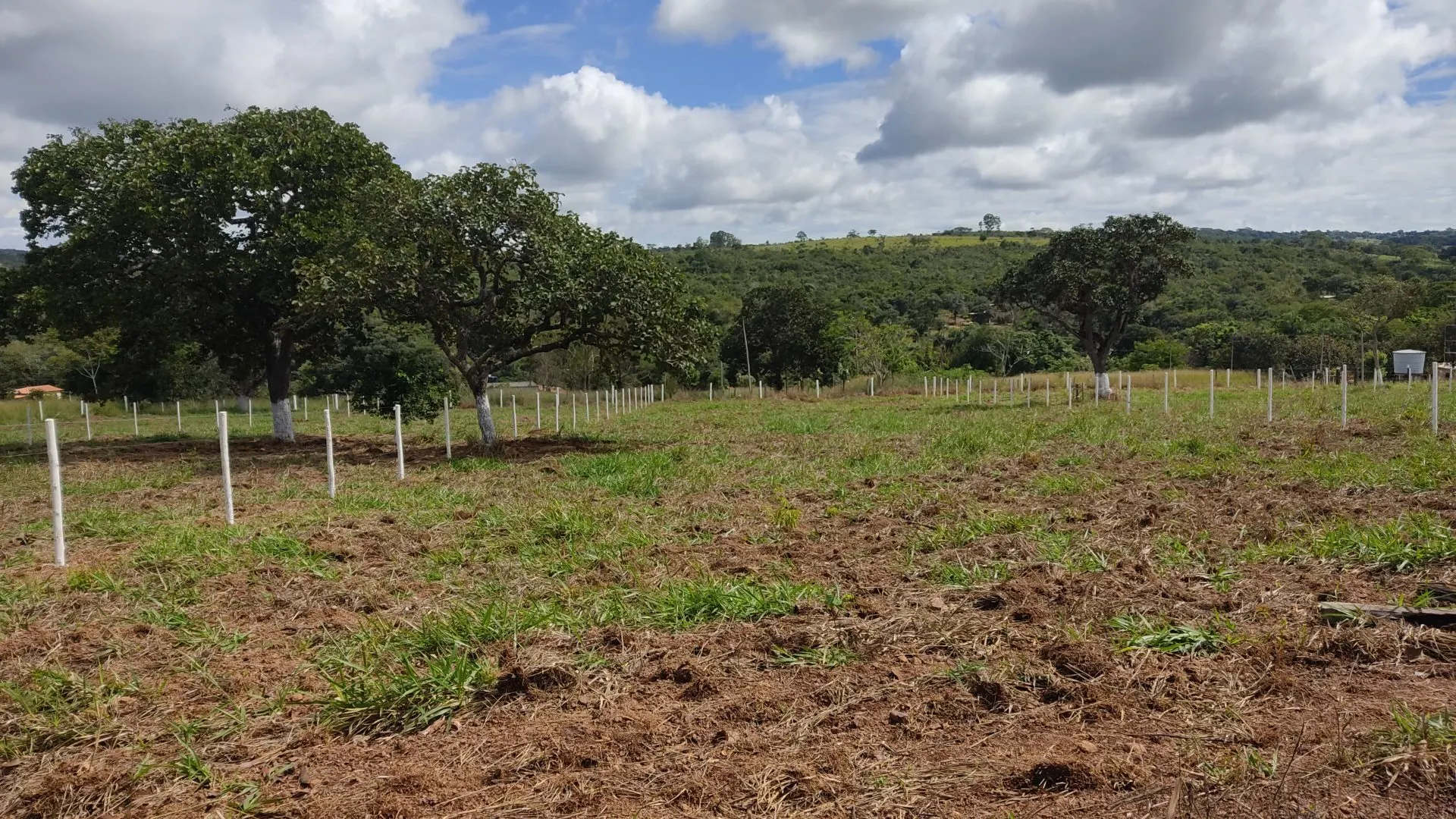 Country home for sale of 3,800 m² in Bonfinópolis, GO, Brazil