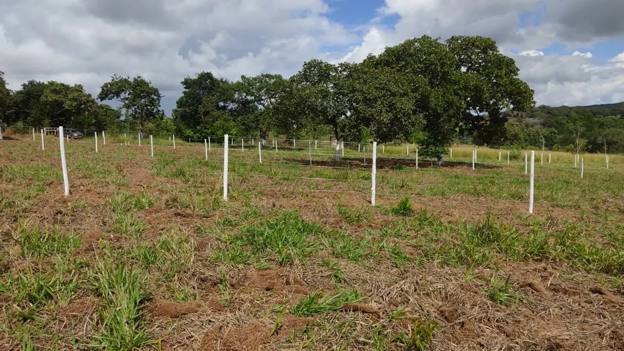 Country home for sale of 3,800 m² in Bonfinópolis, GO, Brazil