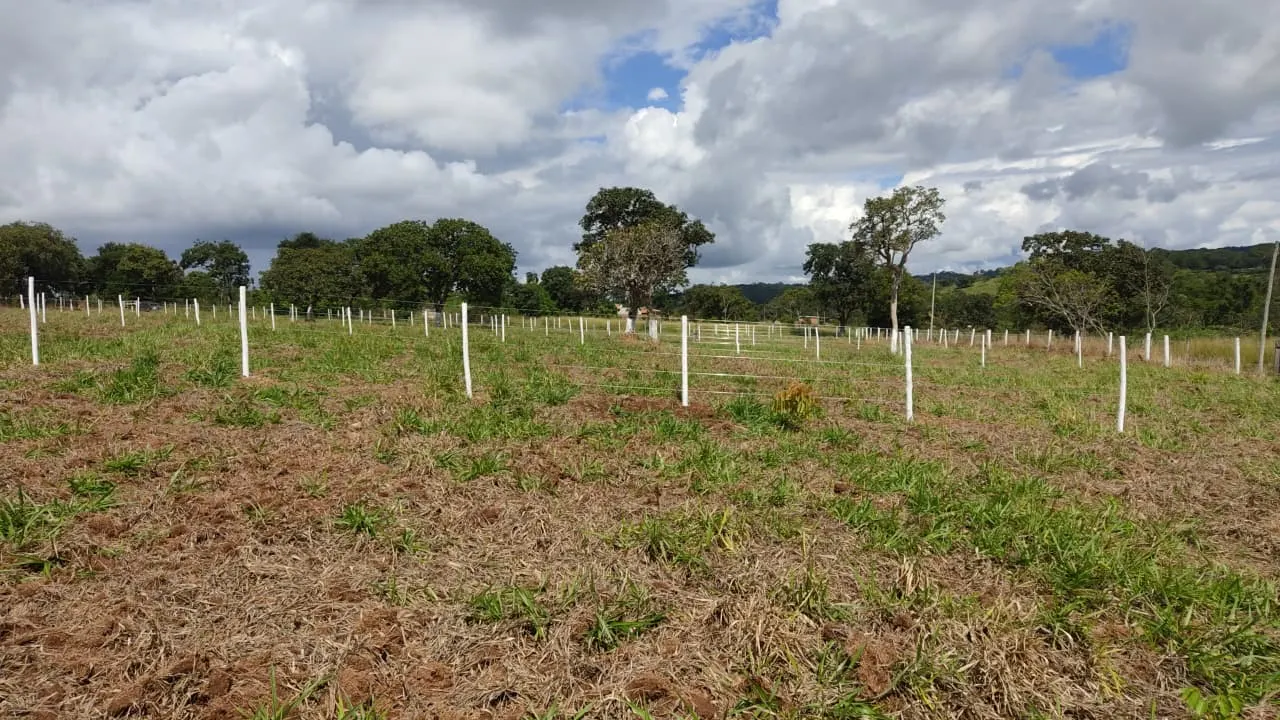 Country home for sale of 3,800 m² in Bonfinópolis, GO, Brazil