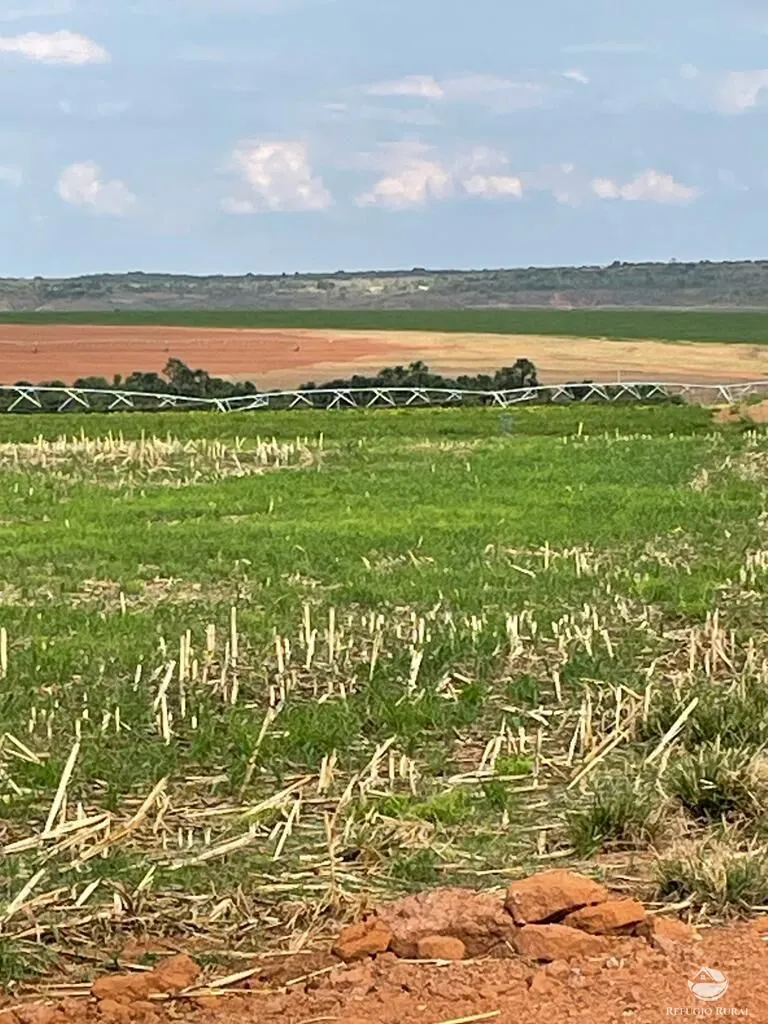 Fazenda à venda de 1.852 ha em Unaí, MG, Brasil