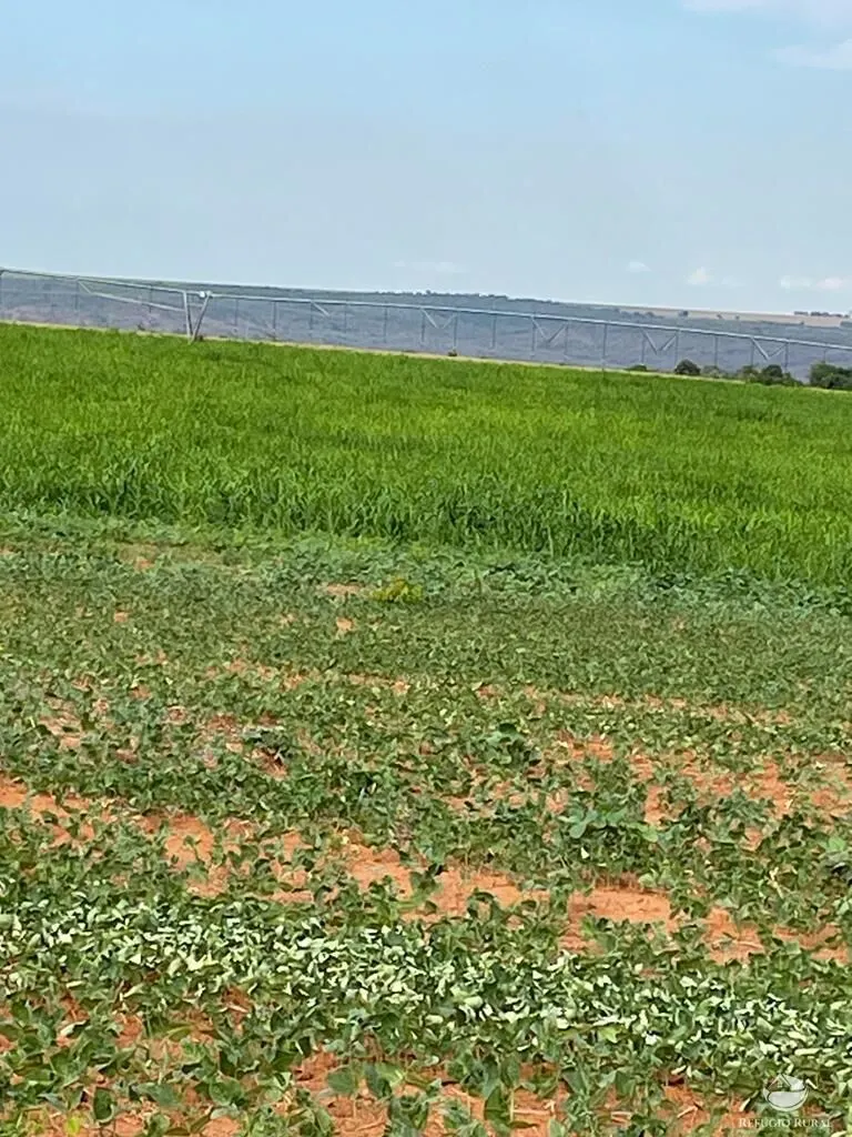 Fazenda à venda de 1.852 ha em Unaí, MG, Brasil