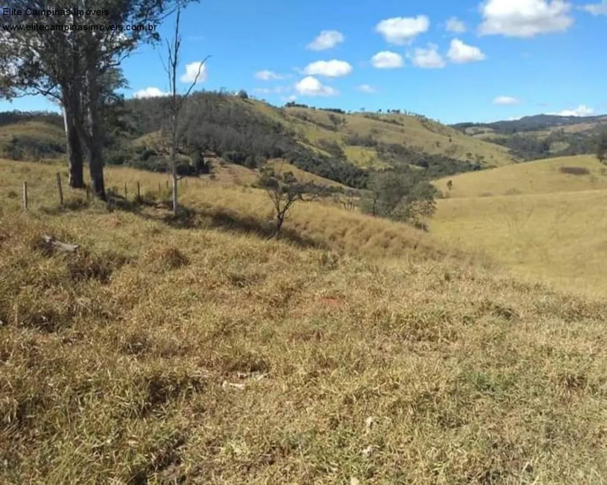 Small farm for sale of 89 acres in Amparo, SP, Brazil